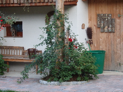 Ferienhaus Parterre