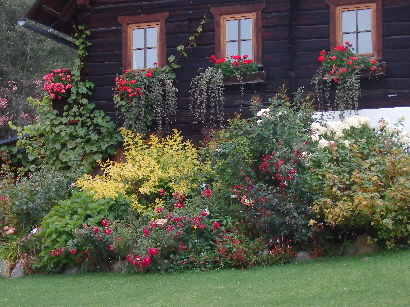 Bauernhaus Herbstblüten